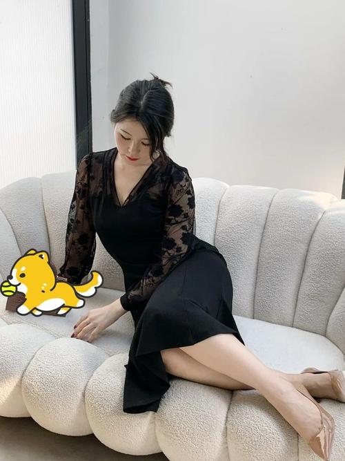 免费观看视频的软件app的相关介绍