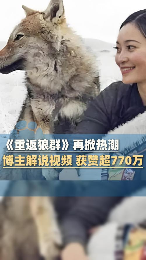 私人影院包场观影指南：情侣约会必去的私密空间推荐