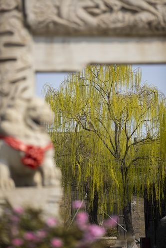 千百度影院在线观看_最新高清电影电视剧免费追剧平台_无广告流畅观影体验