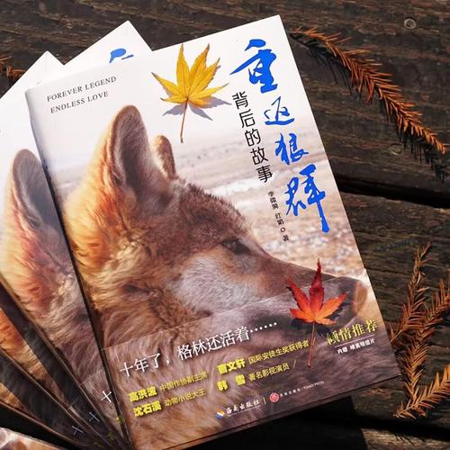 爱看影院-海量高清电影免费在线观看，最新热播剧集与经典大片全程无广告，畅享极致家庭影院体验
