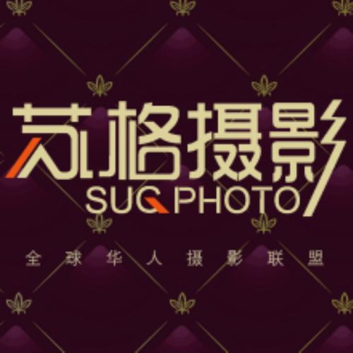 久久久久久激情片的相关介绍