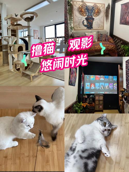 根据980影院，为您生成一个包含3个长尾关键词的SEO标题：

**980影院在线观看免费电影 - 最新高清影视资源推荐与热播剧集抢先看**