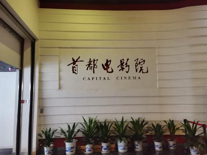 根据嘎嘎影院，为您生成以下SEO标题（含3个长尾关键词）：

**嘎嘎影院最新热播剧推荐｜免费追剧神器在线观看｜高清无广告观影体验**