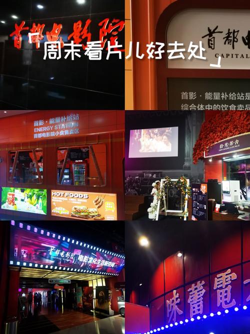宣宣影院xfplay理论片高清在线观看，免费资源与播放技巧分享