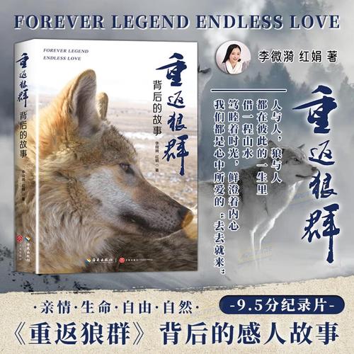 4K影院私人定制 | 家庭沉浸式观影、高清片源推荐、影音室装修方案