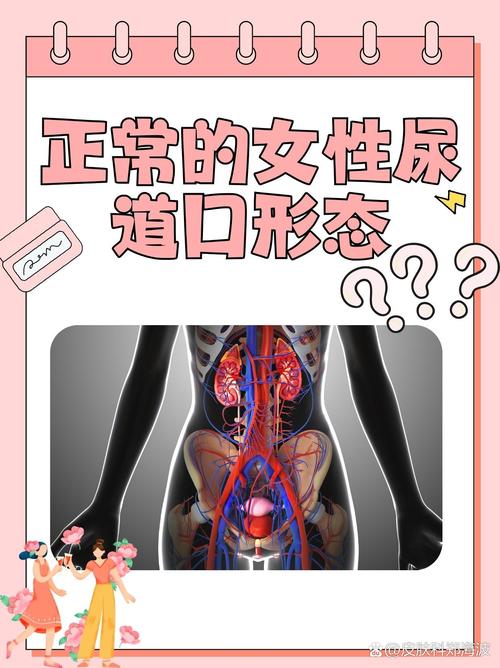av 熟妇 在线的相关介绍